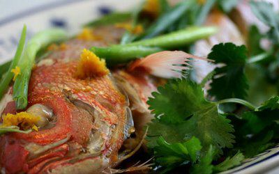 ginger snapper