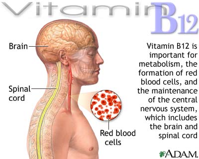 Vitamin B12 And The Hcg Diet Can This Help With Weight Loss