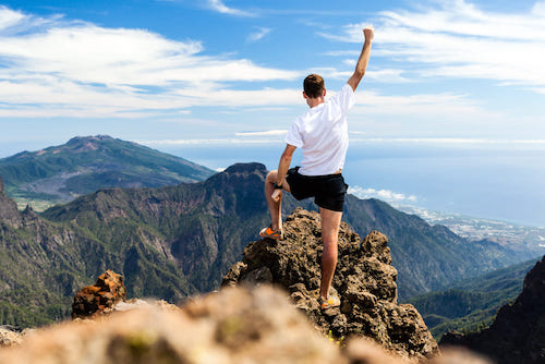 12 Fitness center Possible choices You Will have to Know About