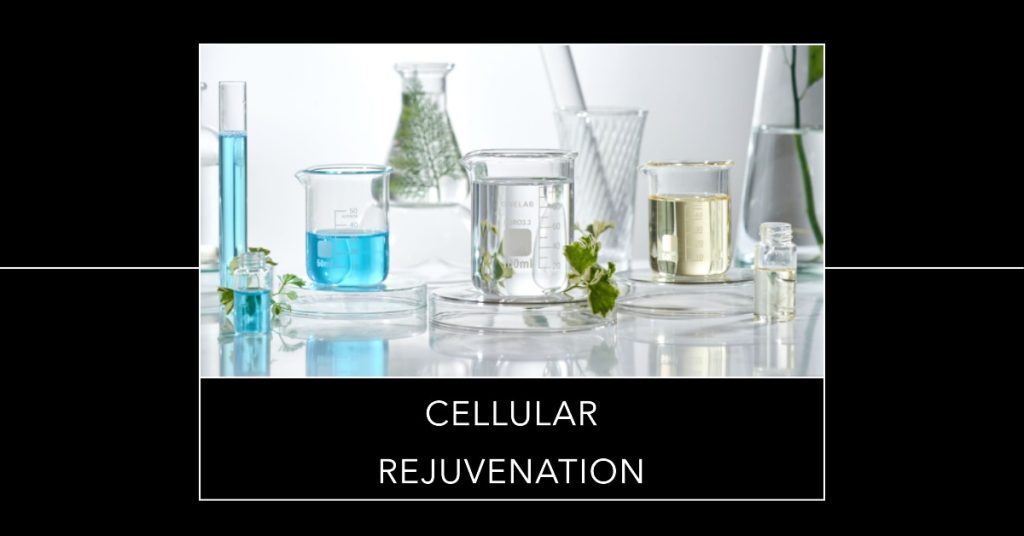 cellular rejuvenation